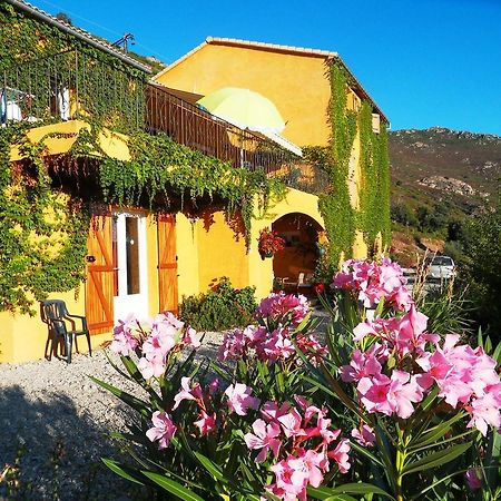 A Pianella Hotel Castirla Exterior foto