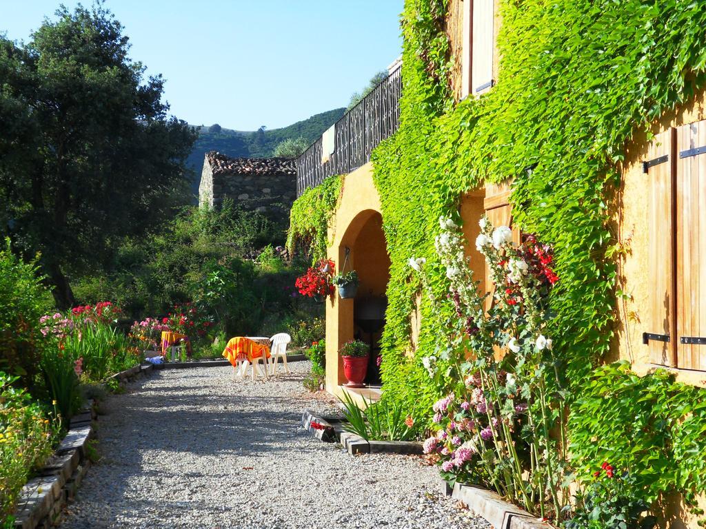 A Pianella Hotel Castirla Exterior foto